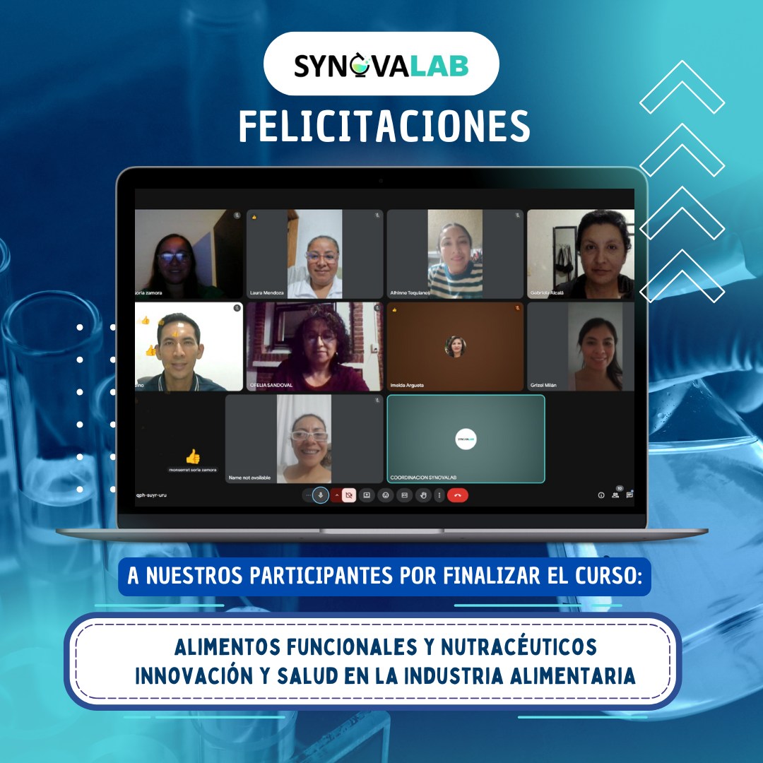 SynovaLab actividades