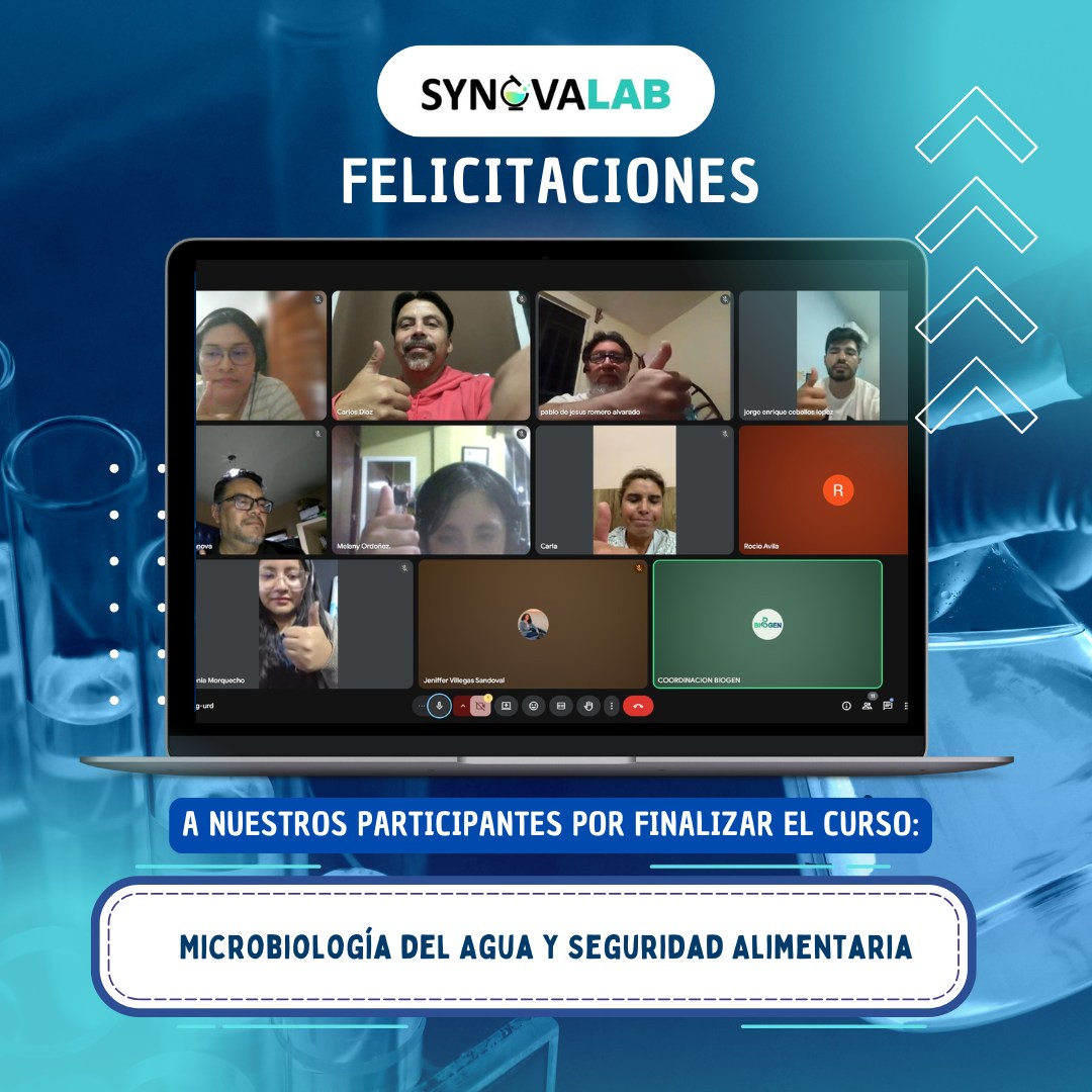 SynovaLab proyectos